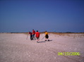 Boy Scouts In BL, Piping Plover project - 11